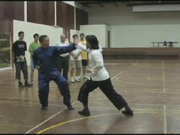 basic skills in kungfu
