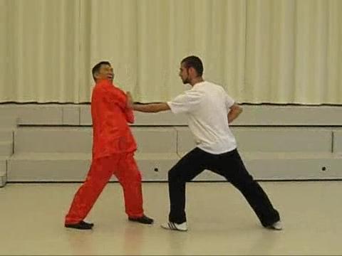 Shaolin-Taijiquan against Other Martial Arts