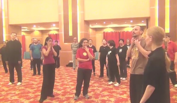 dim-mak in kungfu