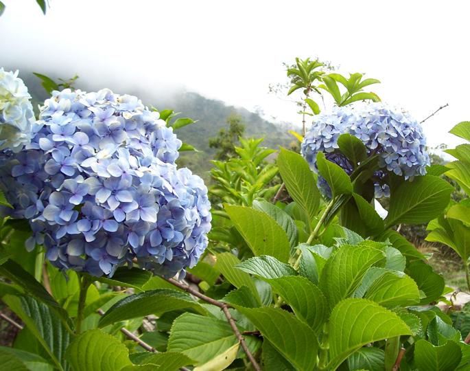 &ldquo;Blue