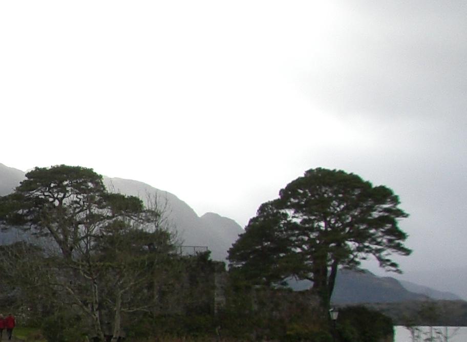 &ldquo;Ireland&rdquo;