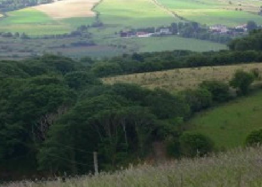 &ldquo;Ireland&rdquo;