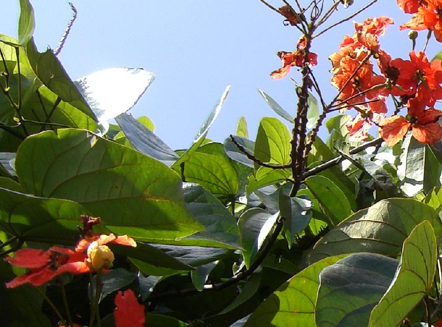 &ldquo;Sabah&rdquo;