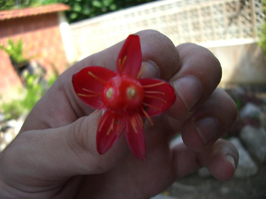 &ldquo;Sabah&rdquo;