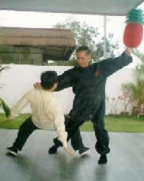 A technique from White Crane Kungfu from Tibet