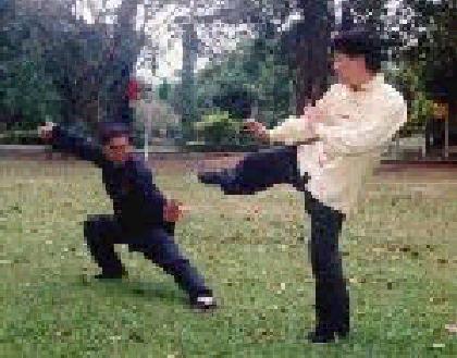 Taijiquan is basically a martial art
