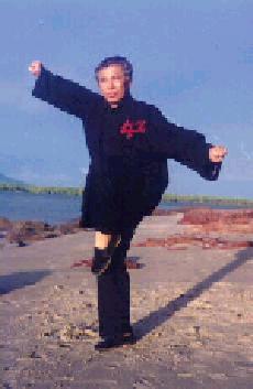 Northen Shaolin Kungfu