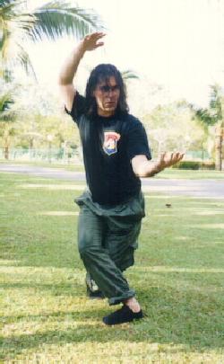 stance training