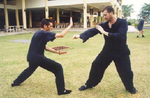 Sifu Wong