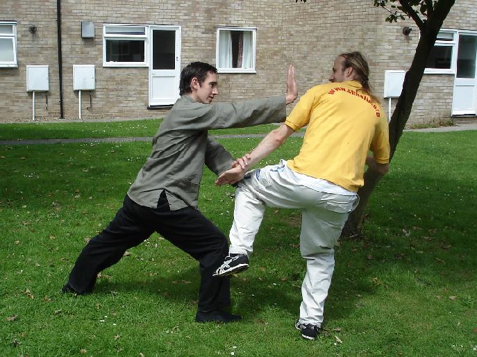 Taijiquan