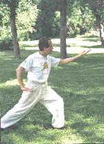 Chen Style