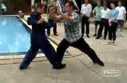 Wahnam Taijiquan