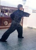 Black Tiger