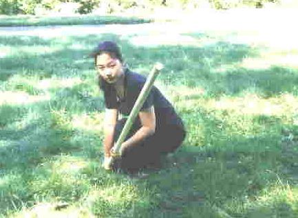Flowing Water Staff