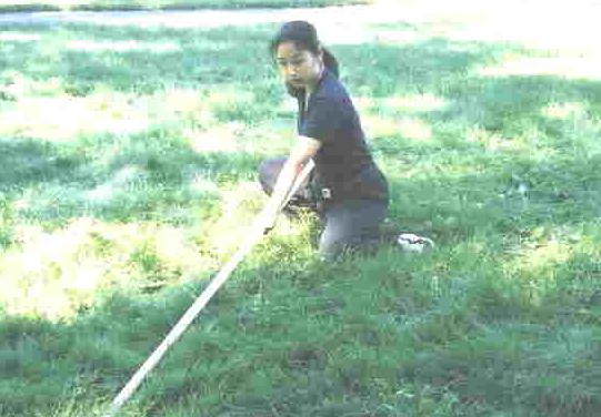 Flowing Water Staff