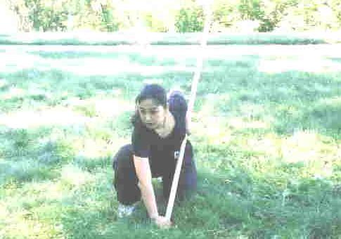 Flowing Water Staff