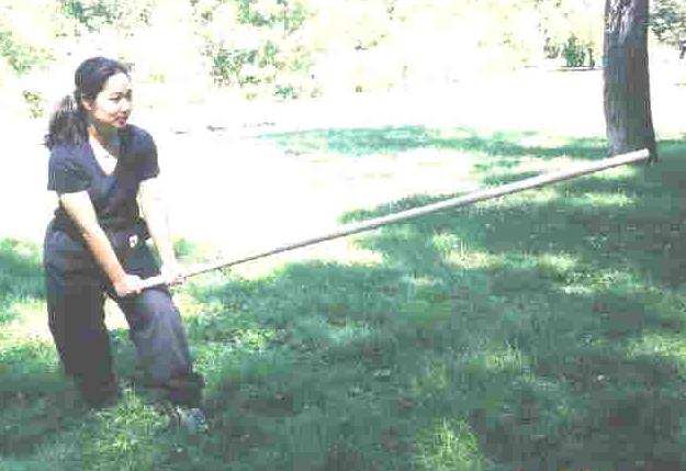 Flowing Water Staff