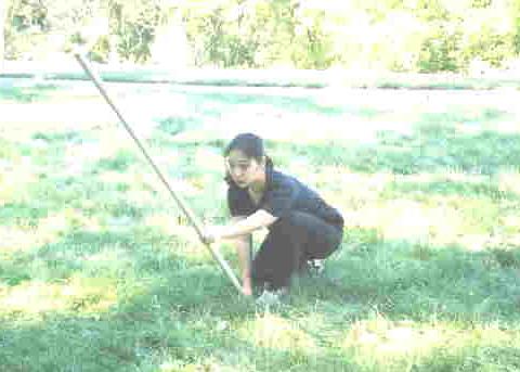 Flowing Water Staff