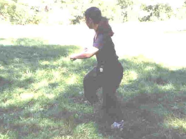 Flowing Water Staff