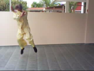 &ldquo;Shaolin