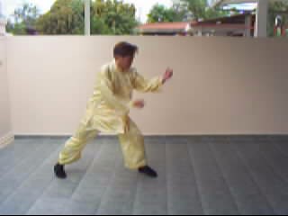 &ldquo;Shaolin