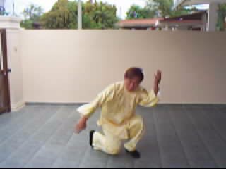 &ldquo;Shaolin
