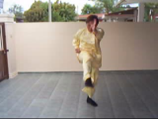 &ldquo;Shaolin