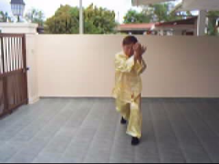 &ldquo;Shaolin