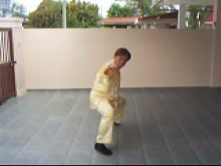 &ldquo;Shaolin