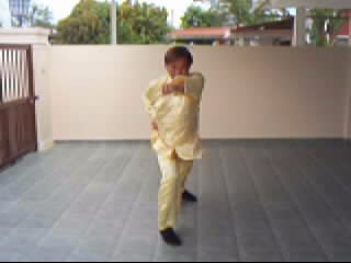 &ldquo;Shaolin