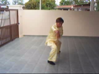 &ldquo;Shaolin