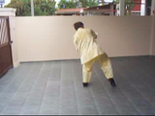 &ldquo;Shaolin