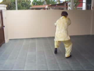 &ldquo;Shaolin