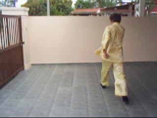 &ldquo;Shaolin