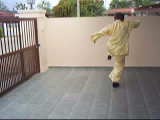 &ldquo;Shaolin