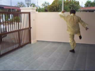 &ldquo;Shaolin