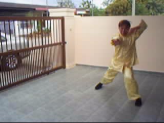 &ldquo;Shaolin