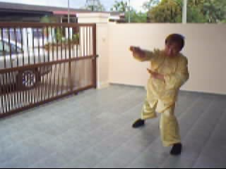 &ldquo;Shaolin