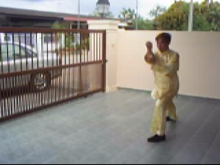 &ldquo;Shaolin