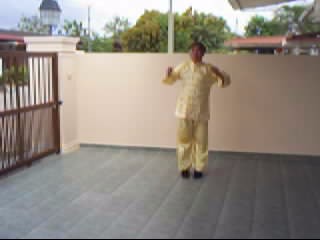 &ldquo;Shaolin