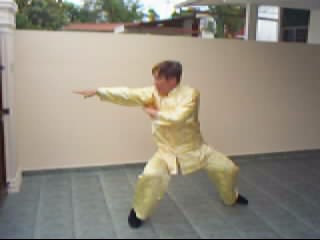 &ldquo;Dragom-Tiger&rdquo;