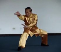 Shaolin Five-Animal Set