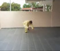 &ldquo;Shaolin
