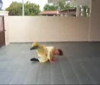 &ldquo;Shaolin