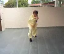 &ldquo;Shaolin
