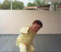 &ldquo;Shaolin