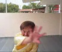 &ldquo;Shaolin