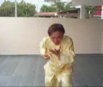 &ldquo;Shaolin