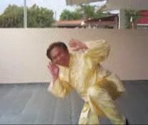 &ldquo;Shaolin