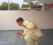 &ldquo;Shaolin